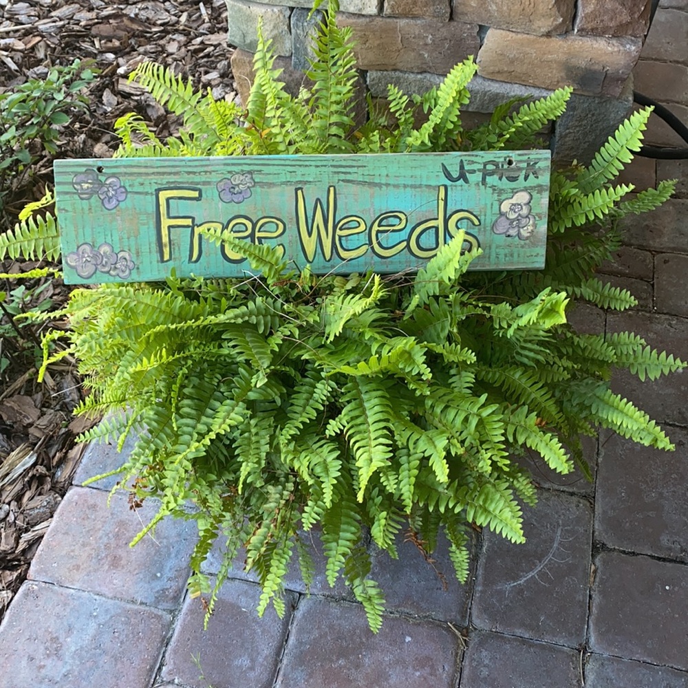 Hand painted Garden sign